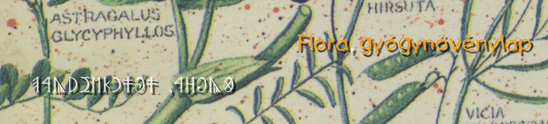 Flora, gygynvny lap
