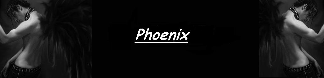 phoenix3